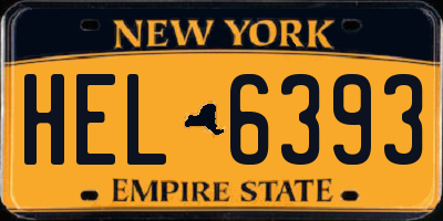 NY license plate HEL6393
