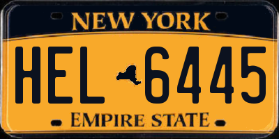 NY license plate HEL6445