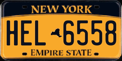NY license plate HEL6558