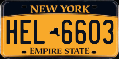 NY license plate HEL6603