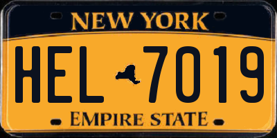 NY license plate HEL7019