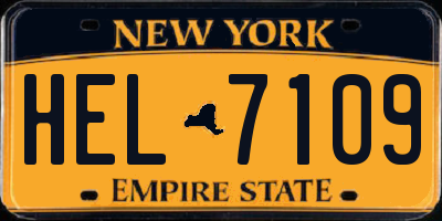 NY license plate HEL7109