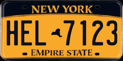 NY license plate HEL7123