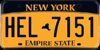 NY license plate HEL7151