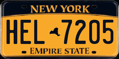 NY license plate HEL7205
