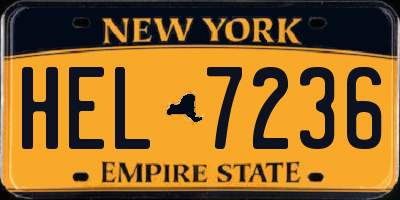 NY license plate HEL7236