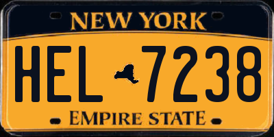 NY license plate HEL7238