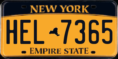 NY license plate HEL7365