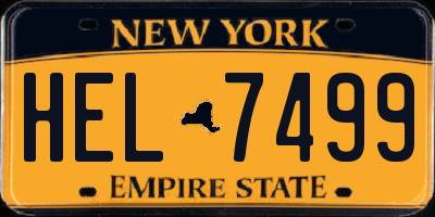 NY license plate HEL7499