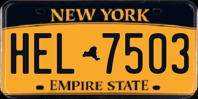 NY license plate HEL7503