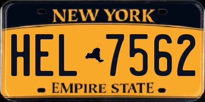 NY license plate HEL7562