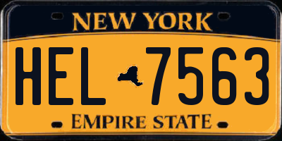NY license plate HEL7563