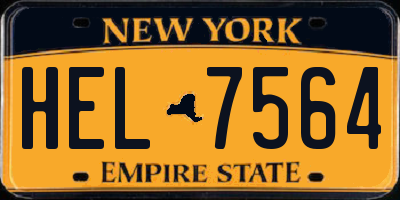 NY license plate HEL7564