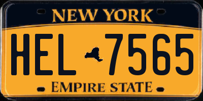 NY license plate HEL7565