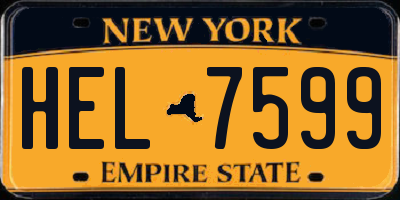 NY license plate HEL7599