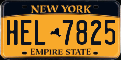 NY license plate HEL7825