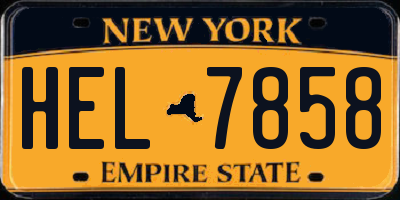 NY license plate HEL7858
