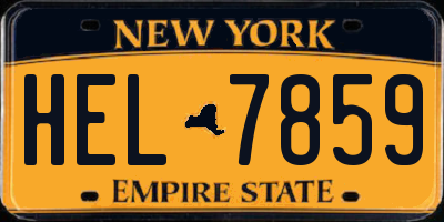 NY license plate HEL7859