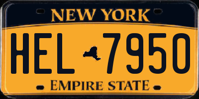 NY license plate HEL7950