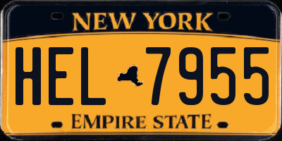 NY license plate HEL7955