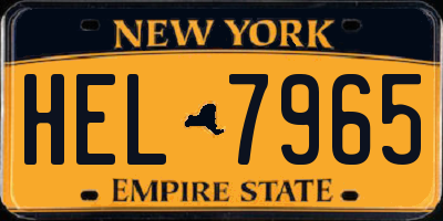 NY license plate HEL7965