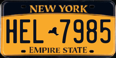NY license plate HEL7985