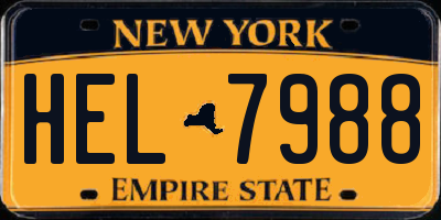 NY license plate HEL7988