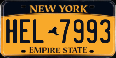 NY license plate HEL7993