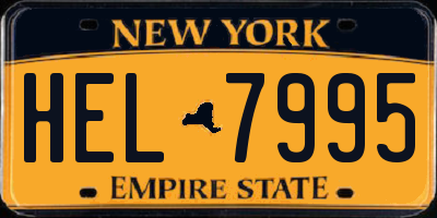 NY license plate HEL7995