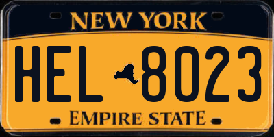 NY license plate HEL8023