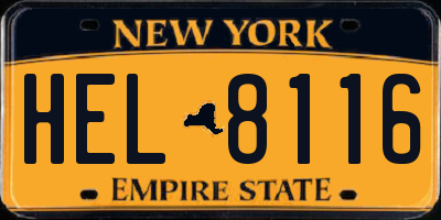 NY license plate HEL8116