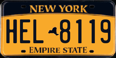 NY license plate HEL8119
