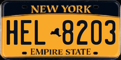 NY license plate HEL8203