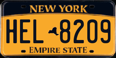NY license plate HEL8209