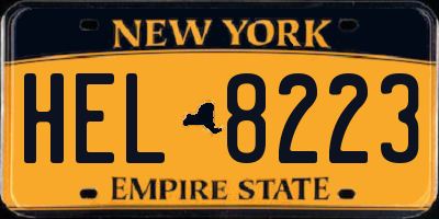 NY license plate HEL8223