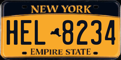 NY license plate HEL8234
