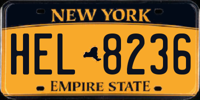 NY license plate HEL8236