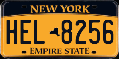 NY license plate HEL8256