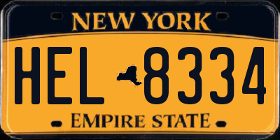NY license plate HEL8334