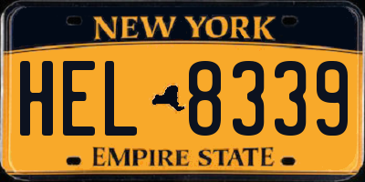 NY license plate HEL8339
