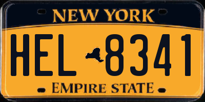 NY license plate HEL8341