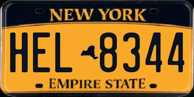 NY license plate HEL8344
