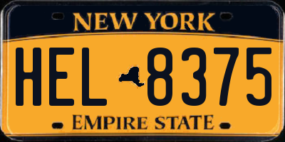 NY license plate HEL8375