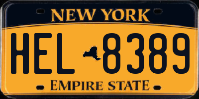 NY license plate HEL8389
