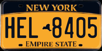 NY license plate HEL8405