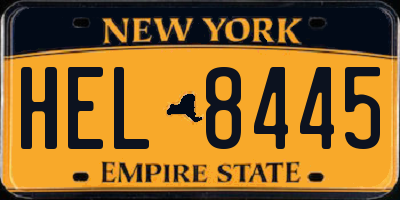 NY license plate HEL8445