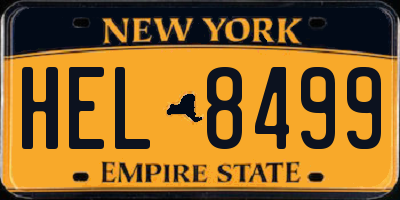 NY license plate HEL8499