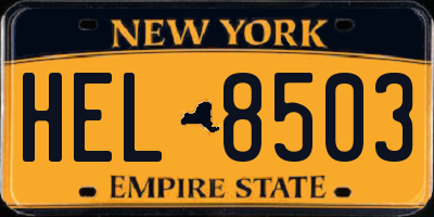 NY license plate HEL8503