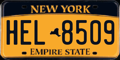 NY license plate HEL8509