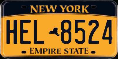 NY license plate HEL8524
